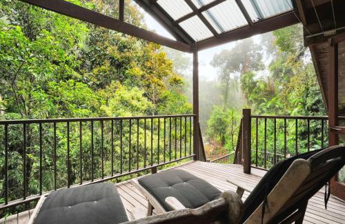 Kuranda House | Family-Friendly Kuranda Rainforest Chalet Retreat Awaits