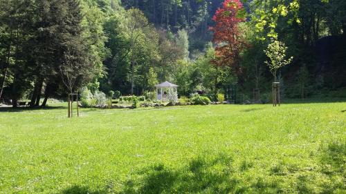 Bad Bertrich Hotel | Pet-Friendly Kurhotel Quellenhof with Restaurant & Family Perks