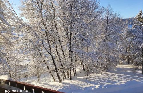 Schluchsee Apartment | Relaxing Genießer-Apartment with Indoor Pool in Schluchsee