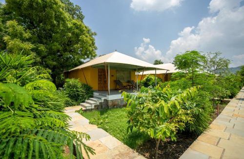 Sariska Hotel | Experience Kutani Bagh: Top Hotel Near Sariska National Park