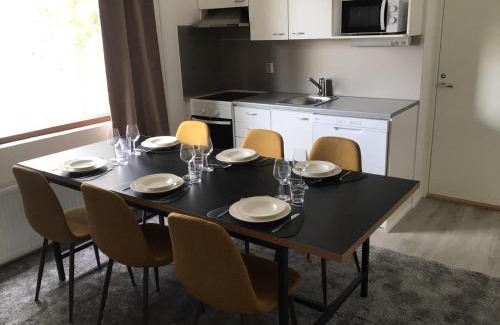 Sodankyla Apartment | Experience Kuukkeli Sodankylä Aurora: Pet-Friendly Retreat