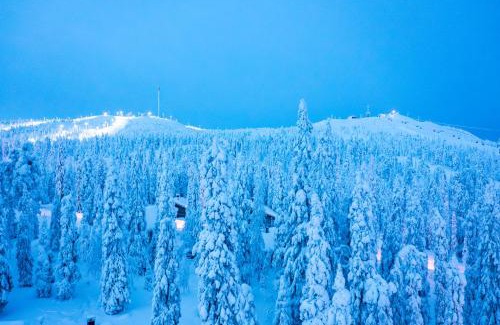 Rukatunturi Apartment | Charming Kuusirinne 2B: Pet-Friendly Cabin by Ruka Slopes