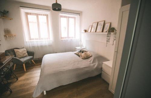 Ceska Lipa Apartment | KVARTÝR: Family-Friendly Apartment in Česká Lípa Center