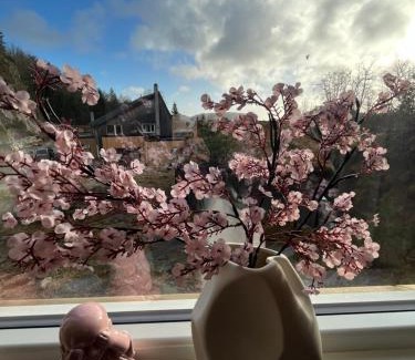 Sør-audnedal House | Kvernhusheia Gjestegård