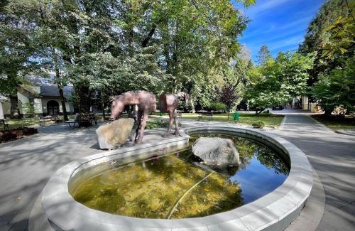 Solochyn Apartment | Pet-Friendly Kvitka Polonyny Apartamenty with Ocean View