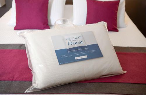 Plaine Centre Ville Hotel | Discover Kyriad Hotel Lyon Givors: Pet-Friendly Getaway