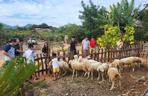 Thuan Nam House | Cozy Làng Cừu Farmstay: Pet & Child Friendly Retreat