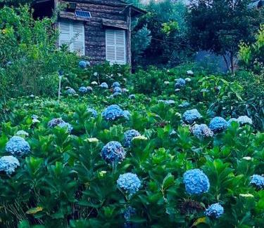 Da Lat Hotel | Experience Tranquility at Làng Quê Farm Stay - Rated 9/10