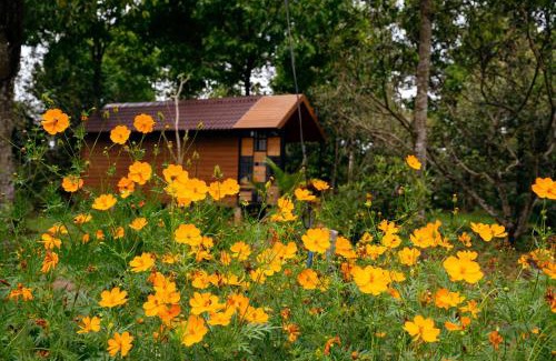 Cam My House | Experience Làng Trường Thọ Farmstay: 10/10 Guest Rated Getaway