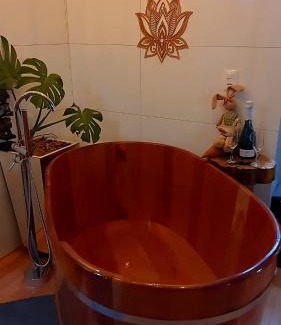Sao Marcos House | Lá Luciolla Loft Cabana