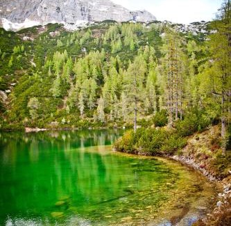 Tauplitz Apartment | Discover Lärchenhütte: Pet-Friendly Retreat with Hot Tub