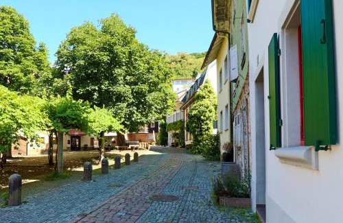 Waldshut-Tiengen Apartment | Family-Friendly Löwe Apartment Gelb in Tiengen Altstadt
