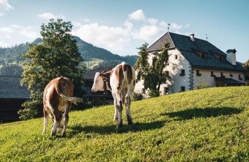 Badia Apartment | Unforgettable Stay at Lüch Colz - Rated 10/10, Family Friendly
