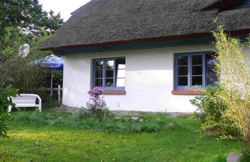 Rubitz House | Enjoy Pet-Friendly Stays at Lütt Stuuv am Dorfanger