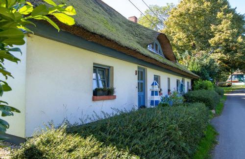 Rubitz House | Enjoy Pet-Friendly Stays at Lütt Stuuv am Dorfanger