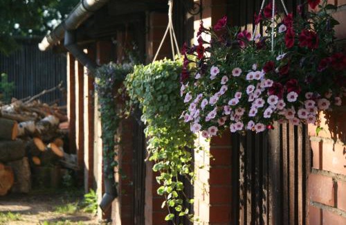 Kuldiga Apartment | Family-Friendly Lība Apartments with Top Guest Ratings
