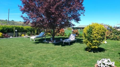 Miglianico House | Kid-Friendly Retreat at L' Acero Rosso - Rated 9/10