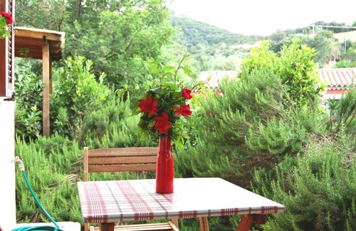 Loiri Porto San Paolo Apartment | Experience Comfort in L'AGLIENTU - LIMONI Room Stay