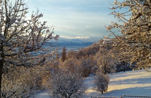 Costigliole Saluzzo Bed & Breakfast | Pet-Friendly L'Albore: Guest Rated 9.1/10 for Families