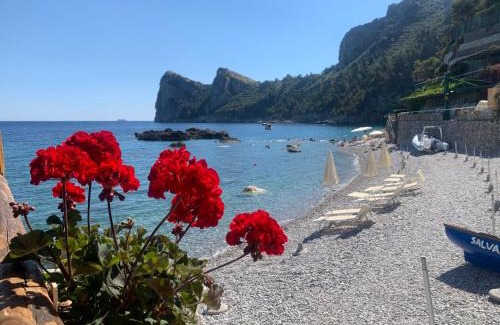 Nerano Apartment | Discover L'Angolo di Felicia: Oceanfront Bliss Awaits