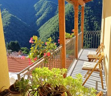 Stazzema House | Unforgettable Family Retreat at L'Antico Asilo