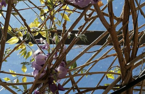 Savigny-les-Beaune Bed & Breakfast | Remarkable Stay at L'antre ami - Guest Rated 9.5/10!