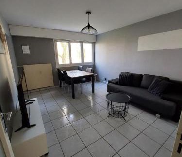 Metz Apartment | Top-Rated L'appart d'Eugénie: Pet & Child Friendly Stay