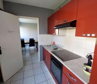 Metz Apartment | Top-Rated L'appart d'Eugénie: Pet & Child Friendly Stay
