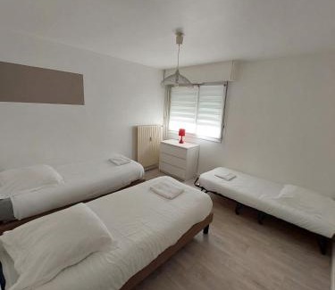 Metz Apartment | Top-Rated L'appart d'Eugénie: Pet & Child Friendly Stay