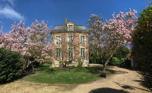 Aumont-en-Halatte Bed & Breakfast | Beachfront Bliss at L'Atelier des Magnolias - Rated 9.5/10