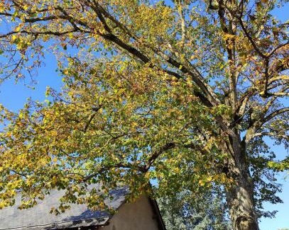 Val-du-Layon Bed & Breakfast | Family-Friendly Getaway at L'Aubinoise - 9.7/10 Rated