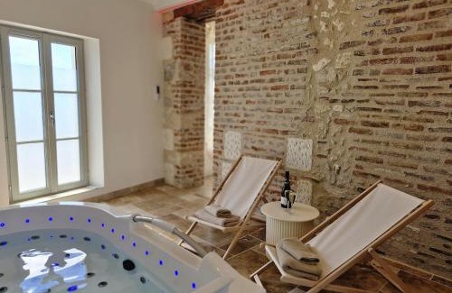 Veuzain-sur-Loire Apartment | L'audacieuse-Jacuzzi et sauna , miroir suspendu
