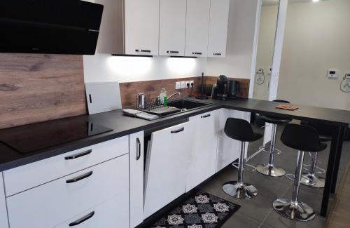 Faubourg-Raines Apartment | L'AuthentiCité, jardin et parking au centre-ville