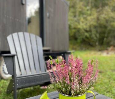 Loches-sur-Ource Ski Chalet | Eco-Friendly Retreat at L'Envolée Ecolodge in the Vines