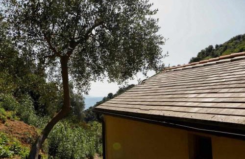 Portofino House | Enchanting LEremoRifugio: Ocean Views & Family-Friendly Stays
