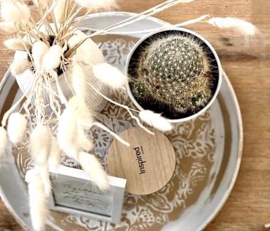 Saint-Etienne Apartment | Discover L’Escale - Le Boho with NETFLIX & Garage Access