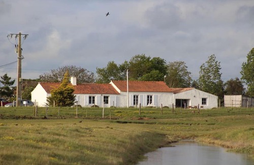 Bouin House | Charming Maison in the Heart of Marais - Pet-Friendly Retreat