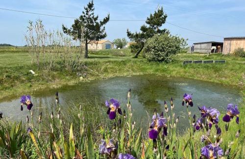 Bouin House | Charming Maison in the Heart of Marais - Pet-Friendly Retreat