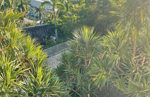 Saint-Denis Apartment | L'horizon bleu : Sea view, air-conditioning, swimming pool, near airport and hospital for 4 people