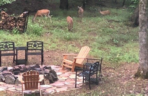 Jones Mills House | Experience Resort Living on 2 Wooded Acres with Pool & Spa
