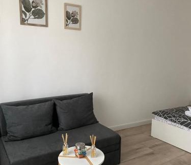 Tirgu Mures Apartment | Pet-Friendly L&M Apartment with Exceptional 9.6 Rating