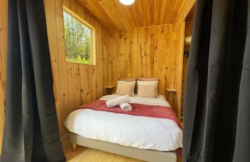 Saint-Nabord Bed & Breakfast | Discover L'Oasis: Family and Pet-Friendly Getaway