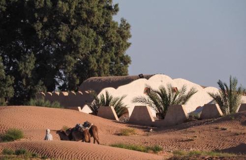 Ksar Ghilane Hotel | Pet-Friendly Escape at L'Oasis with Hot Tub & Dining