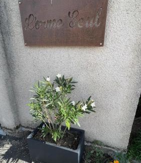 Nouan-sur-Loire Bed & Breakfast | Experience L'Orme Seul: Oceanfront Retreat with Top Ratings