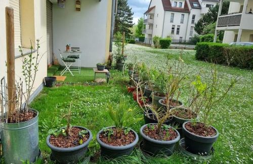 Cronenbourg Est Apartment | Experience Comfort at L'univers au blanc - Rated 9.4/10