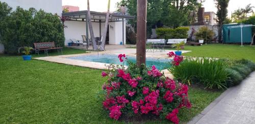Federacion House | Experience Oceanfront Bliss at La Alamanda Hotel