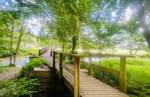 Ortheuville House | La balade en forêt - gîte 9 personnes en Ardenne