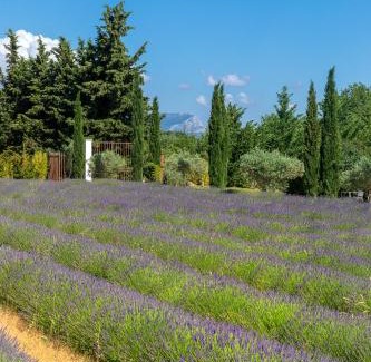 Aix-en-Provence House | Romantic Retreat: JACUZZI & Spa at Les Chambres Romantiques