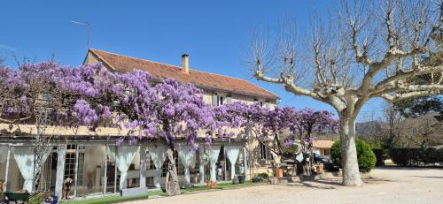 Saumane-de-Vaucluse Bed & Breakfast | Oceanfront La Bastide des Arts with Pool & Restaurant