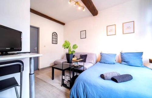 Lille Centre Ville Apartment | Inviting Stay at LoveLoc with Pool and Family Amenities